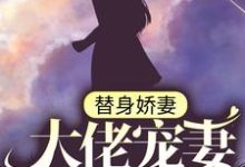 在线搜索苏瓷傅南城的完整小说,免费阅读替身娇妻:大佬宠妻别太过-书格格