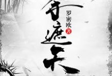 一手遮天小说的免费电子版在哪里可以下载或阅读?-书格格