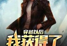 穿越以后,我获得了签到系统楚城小说免费阅读-书格格