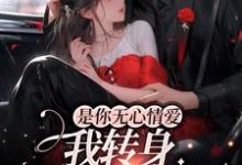 是你无心情爱,我转身嫁人你急啥?小说有没有完结版在线?-书格格