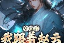 穿越后,我跟着赵云混三国赵霖小说免费阅读-书格格
