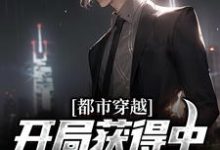 寻找都市穿越:开局获得中医传承系统小说的最新更新章节-书格格