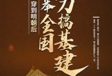 穿到明朝后,我举全国之力搞基建小说全文哪里可以免费看?-书格格