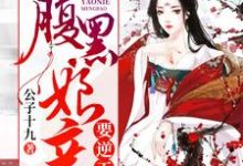 叶瑶夜天澜李苑廷叶姿月是哪本书的主角?妖孽萌宝:腹黑娘亲要逆天免费读-书格格