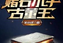 免费看赌石小子古董王小说的网站有哪些?-书格格
