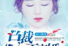 完结版《名门婚宠:总裁不离婚》章节目录在线阅读-书格格