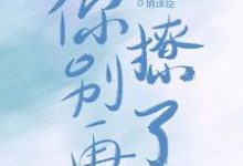 你别再撩了小说的最新章节在哪里更新?免费追踪阅读-书格格