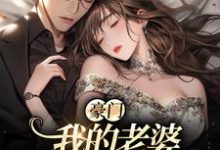 已完结小说《豪门:我的老婆平平无奇》章节在线阅读-书格格