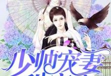 童晚舟宫夜承小说在线章节免费阅读（少帅宠妻甜蜜蜜无弹窗无删减）-书格格
