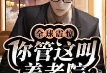 主角梁潇王建国小说全球震惊!你管这叫养老院?免费阅读-书格格