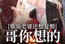 司染墨寒屿为主角的小说叫什么?免费看欺负老婆还想复婚,哥你想的太美了-书格格