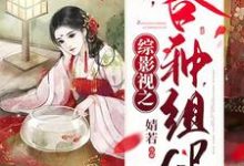 综影视之各种组cp小说的免费阅读版本在哪里可以找到?-书格格