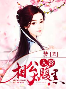 已完结小说《入赘相公太腹黑》章节免费阅读