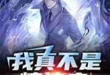 我真不是精神病沈墨白，我真不是精神病小说免费阅读-书格格