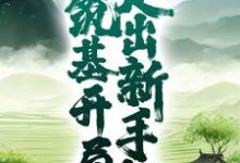 姬太赢小说叫什么(玄幻:筑基开局,走出新手村免费阅读)-书格格