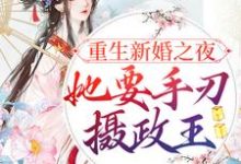重生新婚之夜，她要手刃摄政王小说，重生新婚之夜，她要手刃摄政王宋音书萧御辞-书格格