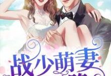 战少萌妻从天降小说最新章节在哪里可以读到?-书格格