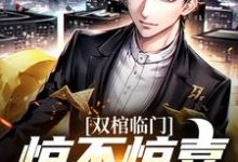 双棺临门？惊不惊喜意不意外小说的免费阅读版本在哪里可以找到？-书格格
