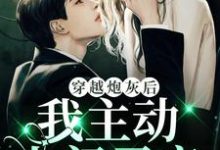 顾兮枝顾江屿小说在线章节免费阅读(穿越炮灰后,我主动上门寻亲无弹窗无删减)-书格格
