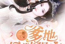 一胎三宝:爹地,妈咪得宠!(沈以沫厉庭深萧泽楷沈如曼)在线免费阅读-书格格