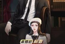 已完结小说《离婚后,前妻跪求我复婚》在线章节阅读-书格格