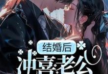 主角季书韫花榆小说完结版在线阅读,结婚后,冲喜老公成教授,还死盯我!免费看-书格格