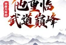 已完结小说《转世万年后，他重临武道巅峰》在线章节阅读-书格格