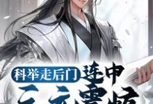 完结版《科举走后门,连中三元震惊无数学子》章节阅读-书格格