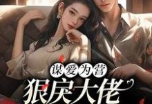 谋爱为营:狠戾大佬独宠我一人小说完结版章节免费阅读-书格格