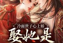 小说《冷面世子心上娇:娶她是筹谋已久》章节免费阅读-书格格