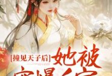 免费看撞见天子后，她被宠爆后宫小说的网站有哪些？-书格格