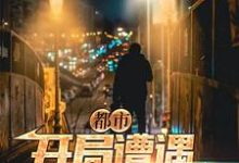 求推荐可以免费阅读都市:开局遭遇中年危机小说的网站-书格格