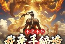 不老不死:我亲手缔造传世神话小说的免费电子版在哪里可以下载或阅读?-书格格