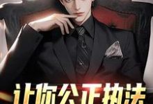 程随安为主角的小说叫什么?免费看让你公正执法,没让你乱搞骚操作-书格格