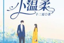 求他的小温柔小说的全文免费阅读链接-书格格