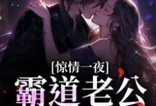 哪里能找到惊情一夜:霸道老公的逃妻小说的全部章节?-书格格