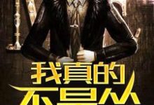我真的不是怂小说完结了吗?在哪里可以免费读到?-书格格