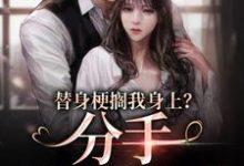 替身梗搁我身上?分手,姐闪婚了小说有没有完结版在线?-书格格