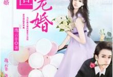 盛世宠婚小说,盛世宠婚安奈顾安辰-书格格