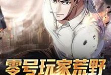 主角叫林枫小说零号玩家荒野求生开挂记章节免费阅读-书格格