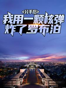 已完结小说《分手后，我用一颗核弹炸了罗布泊》在线章节阅读