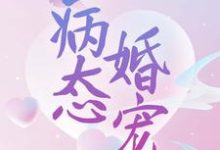 宋沐笙顾崇锦的完整故事在哪里?读病态婚宠小说-书格格