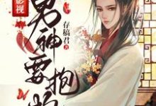 综影视男神要抱抱小说,综影视男神要抱抱王语嫣温客行-书格格