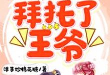 哪里能找到拜托了,王爷小说的全部章节?-书格格