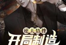 小说《逆天悟性,开局制造可控核聚变》章节免费阅读-书格格
