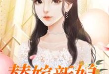 完结版《替嫁新娘》章节阅读-书格格