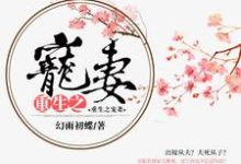小说《重生之宠妻》章节免费阅读-书格格