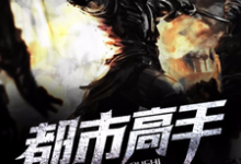 都市高手(叶莫雨荀恬)在线免费阅读-书格格