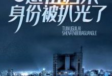 哪里能找到卧底一生:退伍归来身份被扒光了小说的全部章节?-书格格