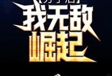 求分手后,我无敌崛起小说免费资源-书格格